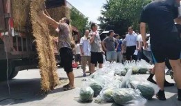 学校河边吃瓜,校园生活新篇章