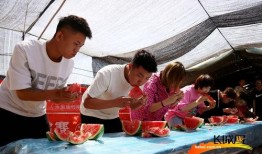 吃瓜组比赛,瓜界风云再起，谁将笑傲江湖？