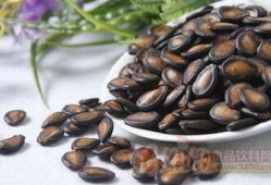 黑瓜吃瓜子,黑瓜吃瓜子的奇妙之旅