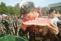 军训吃瓜,揭秘军营里的酸甜苦辣