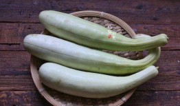 经常吃块瓜好吗,日常饮食中的健康佳选，常吃真的好吗？