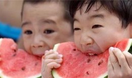 吃瓜党的日常,娱乐圈幕后风云大揭秘