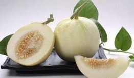 厦门最近吃瓜事件