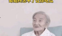 带你实现吃瓜自由,揭秘轻松享受美食的秘诀