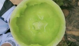 减肥可以吃脆瓜
