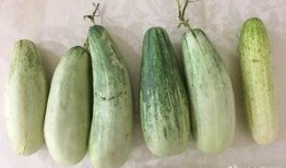 假装实际在吃瓜