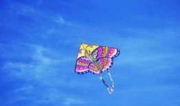 带你吃瓜野生风筝,带你领略“带你吃瓜野生风筝”的独特魅力