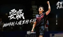 荣耀乒乓吃瓜,吃瓜群众揭秘赛场背后的精彩故事