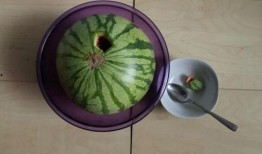 小孩吃醉瓜,揭秘小孩吃醉瓜的欢乐时光