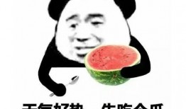 吃瓜请坐表情包