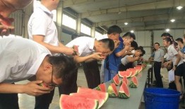 吃瓜群众落幕,一场全民娱乐的狂欢盛宴