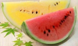 屏山素小姐吃瓜,屏山素小姐的瓜田奇遇记