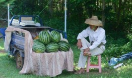 旅游吃瓜女子,揭秘美食背后的故事