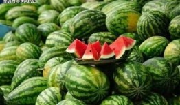 奇葩事吃瓜,那些让人捧腹大笑的奇葩吃瓜瞬间