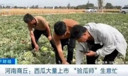 商丘睢阳区吃瓜事件始末,一场网络热议的真相追踪