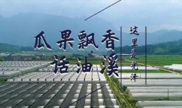 吃瓜淮南师范,揭秘淮南师范的校园风云