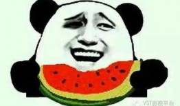 吃瓜群众绿幕图