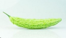 每天吃凉瓜好吗减肥