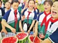 吃瓜比赛小学,小学生吃瓜大赛一触即发