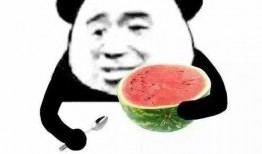 吃瓜凌乱后续,揭秘真相，揭开神秘面纱