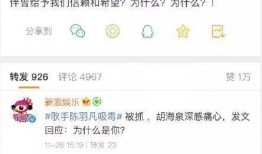 吃瓜队一员,揭秘吃瓜队一员的幕后故事