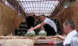 办公室吃瓜现场,揭秘职场八卦背后的真相