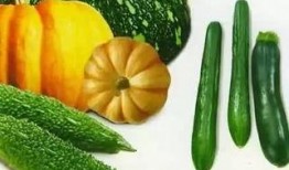 推特如何吃瓜,轻松追踪热门话题的秘诀