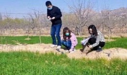 油菜花吃瓜,探寻田园风光中的生态和谐