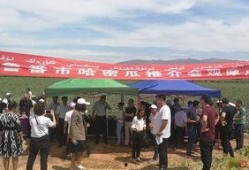 吐鲁番吃瓜群众事件,一场关于瓜农权益的全民热议