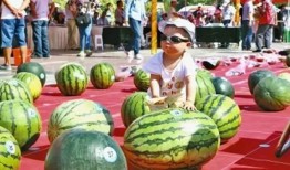 打斗吃瓜,一场别开生面的打斗盛宴