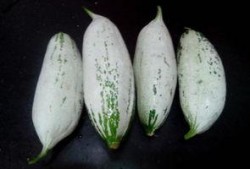 文安吃瓜事件消息