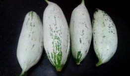 文安吃瓜事件消息