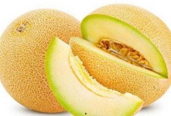 吃哈密瓜总放屁,哈密瓜美食背后的“排气”秘密