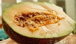 早孕可以吃哈密瓜,甜蜜的孕期营养佳选