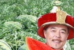 奇路吃瓜君,揭秘娱乐圈背后的那些事儿