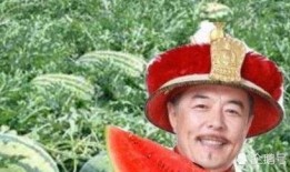 奇路吃瓜君,揭秘娱乐圈背后的那些事儿