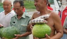 吃瓜工地博主,揭秘建筑工地的那些趣事