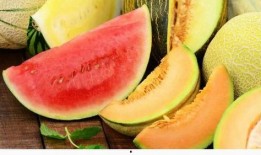 竟然吃自家的瓜,揭秘竟然吃自家瓜的惊人真相