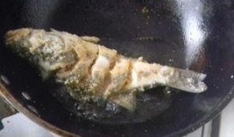 多鱼吃瓜视频,揭秘娱乐圈幕后真相