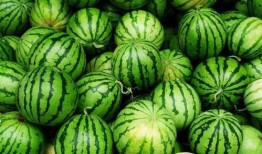 总助吃瓜,揭秘职场背后的八卦风云