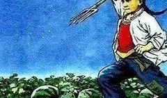 红楼吃瓜群众 11 补,揭秘贾府秘闻，一窥大观园风云变幻