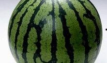 吃瓜图片表示什么,揭秘网络热议背后的真相