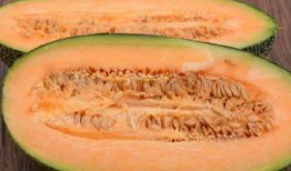 斗牛哈密瓜怎么吃,解锁美味新体验