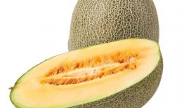 斗牛哈密瓜怎么吃,解锁美味新体验