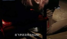 阿瑟 吃瓜,阿瑟的瓜田奇遇记