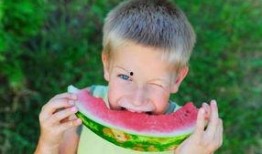 笑看吃瓜后续,揭秘娱乐圈风云再起