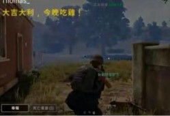 吃鸡四瓜,吃鸡游戏中的瓜界风云录