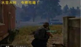 吃鸡四瓜,吃鸡游戏中的瓜界风云录