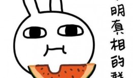 吃瓜温言,揭秘娱乐圈幕后故事