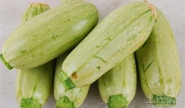 可以快速吃瓜吗